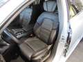 Renault Talisman Grandtour INITIALE BLUE dCi 190 EDC Grau - thumbnail 20