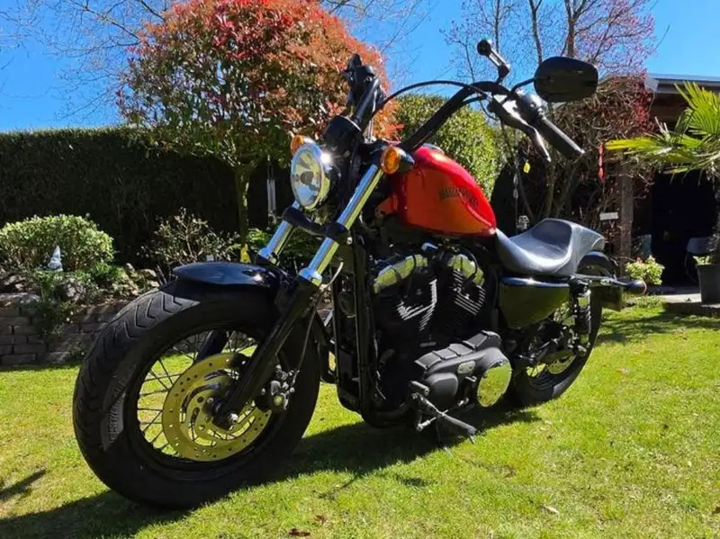 Harley-Davidson Forty-Eight 1200 - foto 2