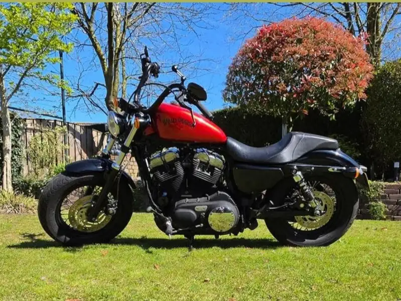 Harley-Davidson Forty-Eight 1200 - foto 7