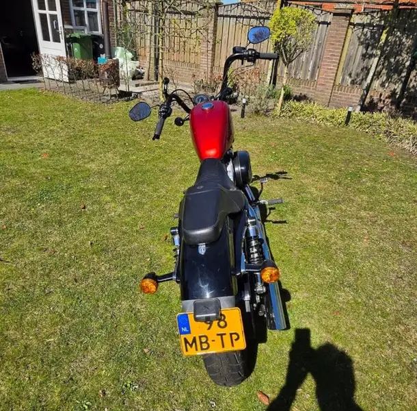 Harley-Davidson Forty-Eight 1200 - foto 8