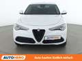 Alfa Romeo Stelvio 2.2 JTDM Super Weiß - thumbnail 9