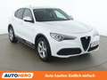 Alfa Romeo Stelvio 2.2 JTDM Super Weiß - thumbnail 8