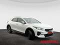 Kia XCeed 1.6 GDI PHEV Vision Komfort-Paket LED CarPlay Andr White - thumbnail 8