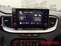 Kia XCeed 1.6 GDI PHEV Vision Komfort-Paket LED CarPlay Andr White - thumbnail 12