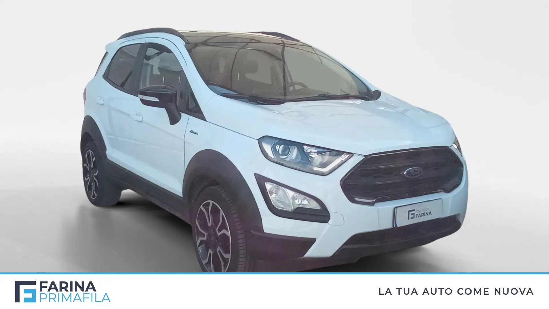 Ford EcoSport 1.0 ecoboost Active s&s 125cv Bianco - 2