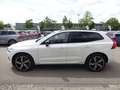 Volvo XC60 T6 R Design Plug-In Hybrid AWD AHK ACC HUD Weiß - thumbnail 4