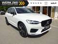 Volvo XC60 T6 R Design Plug-In Hybrid AWD AHK ACC HUD Weiß - thumbnail 1