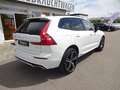 Volvo XC60 T6 R Design Plug-In Hybrid AWD AHK ACC HUD Weiß - thumbnail 7