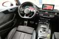 Audi A5 SB 3,0 TDI quattro sport tiptronic Rot - thumbnail 2
