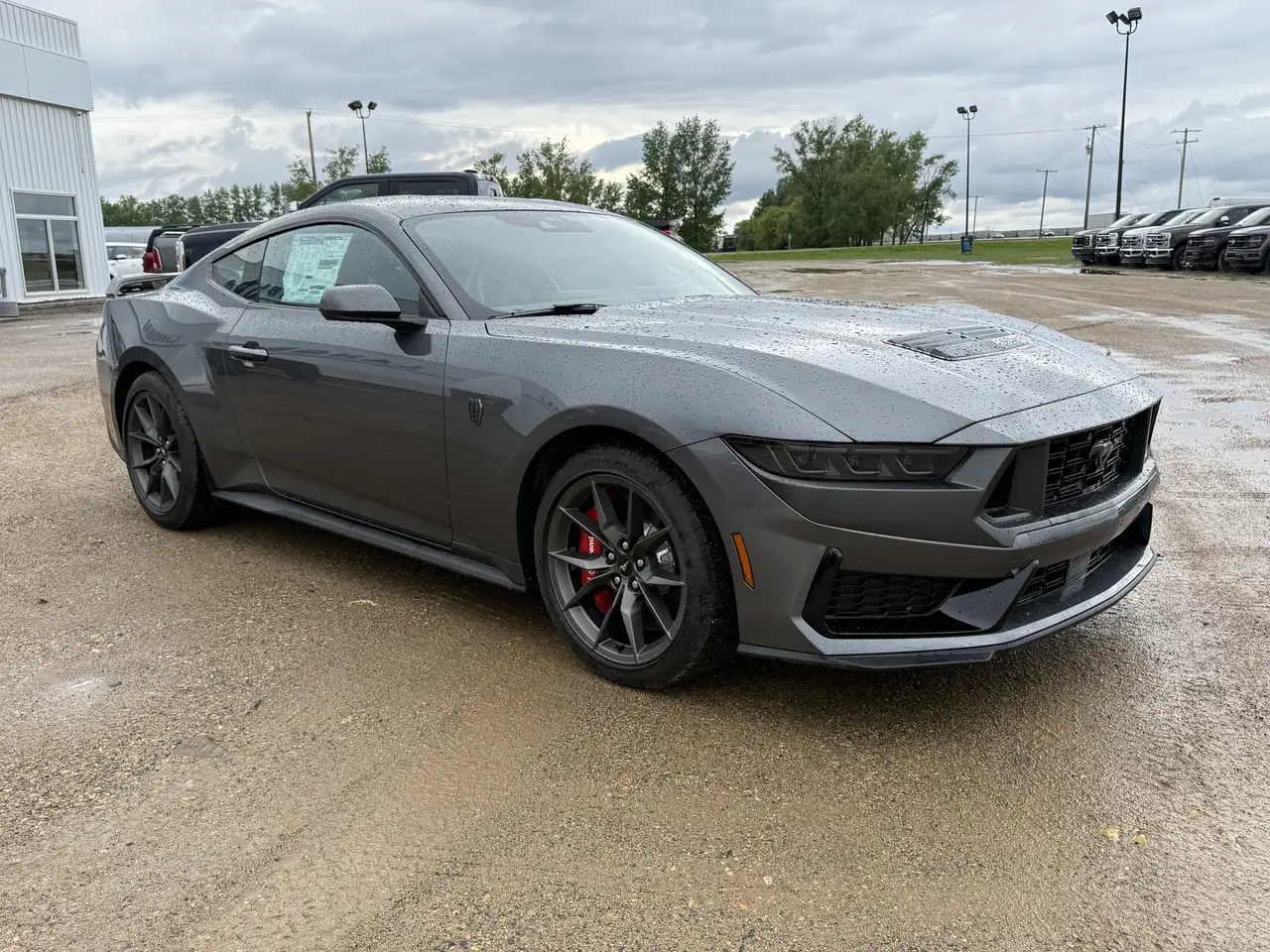 Ford Mustang photo Ford Mustang