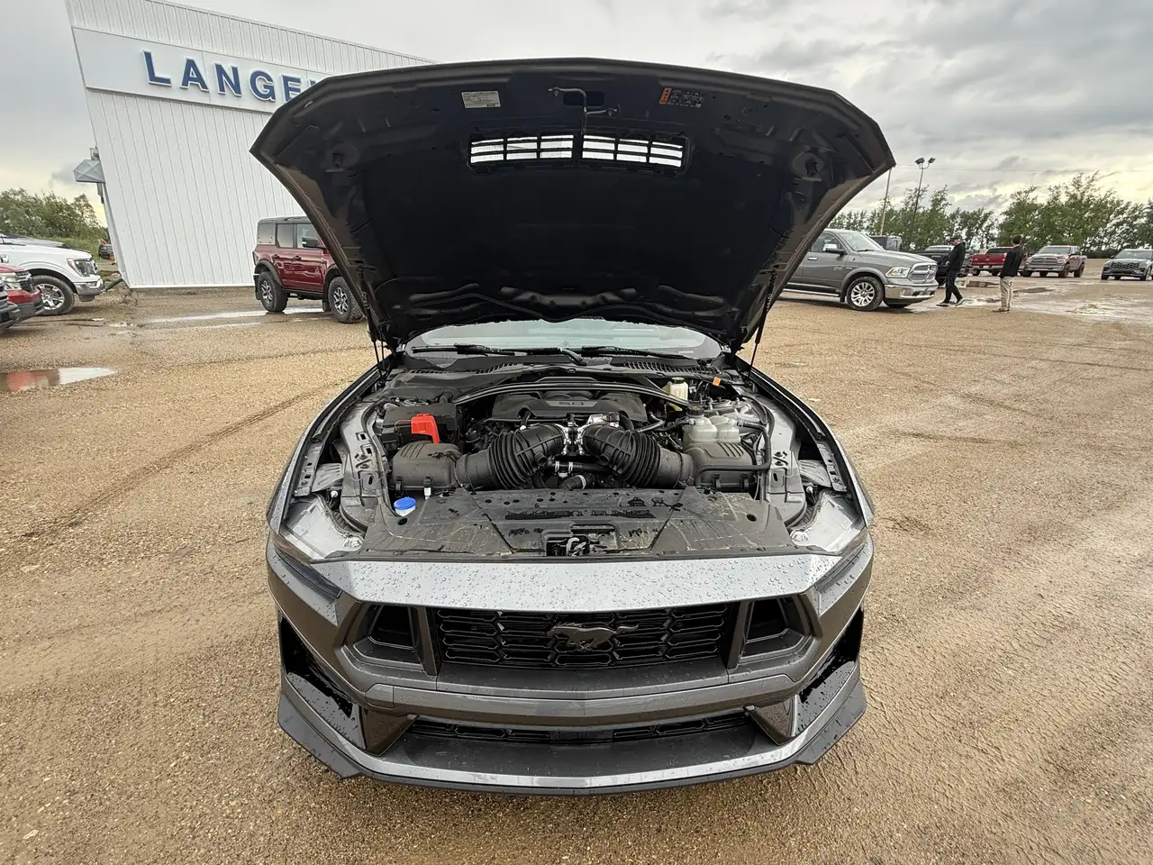Ford Mustang photo Ford Mustang
