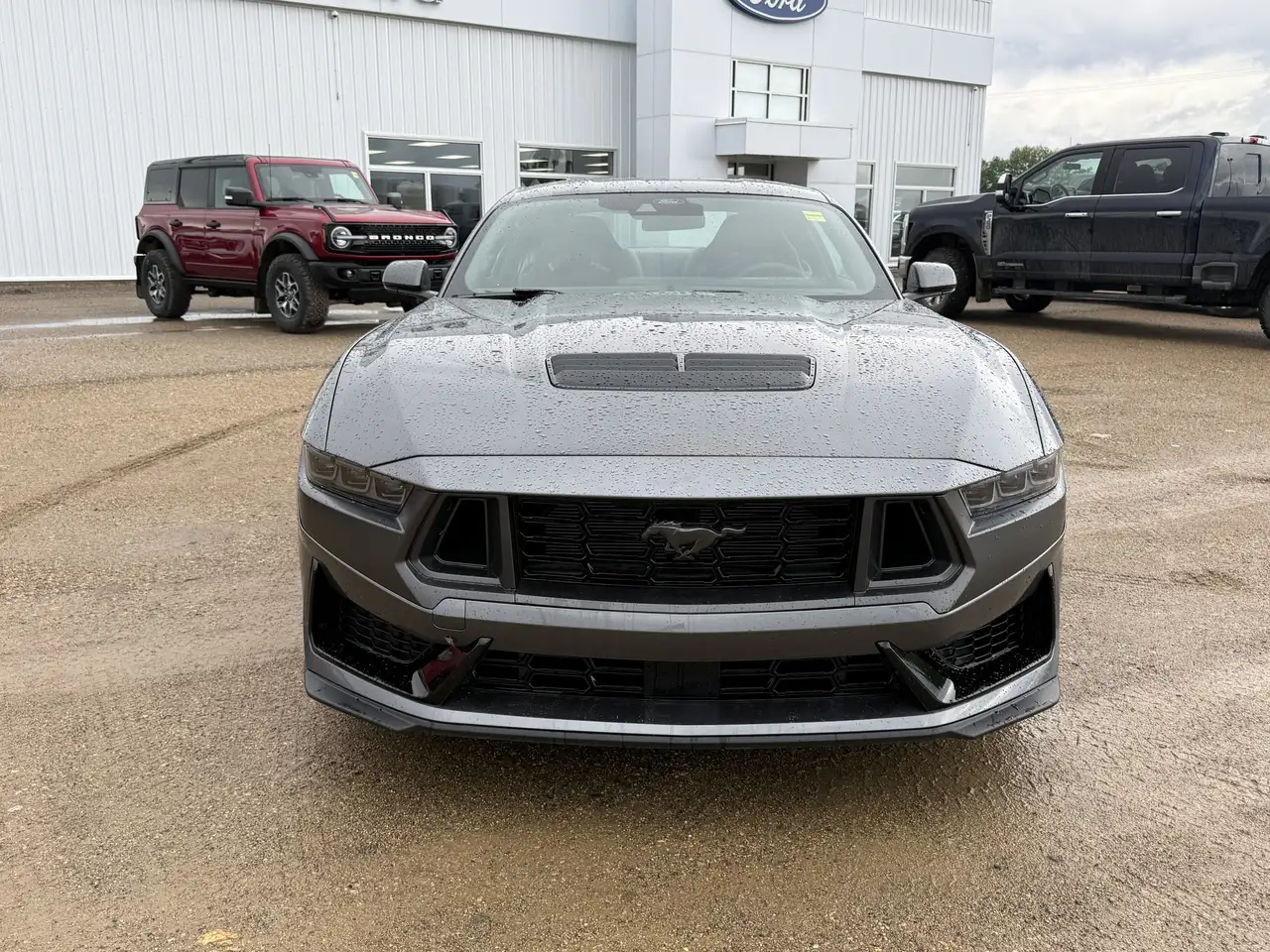 Ford Mustang photo Ford Mustang