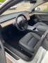 Tesla Model 3 Model 3 Standard Range RWD Plus 57,5kWh RWD Plus Weiß - thumbnail 7