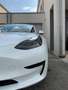 Tesla Model 3 Model 3 Standard Range RWD Plus 57,5kWh RWD Plus Weiß - thumbnail 5
