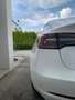 Tesla Model 3 Model 3 Standard Range RWD Plus 57,5kWh RWD Plus Weiß - thumbnail 6