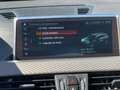 BMW X2 X2 xDrive 20dA M Sport X M Sport X Orange - thumbnail 11