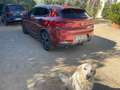 BMW X2 X2 xDrive 20dA M Sport X M Sport X Orange - thumbnail 17