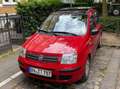 Fiat Panda Panda 1.2 Dynamic Rot - thumbnail 3