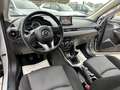 Mazda CX-3 1.5d Evolve 2wd 105cv Gris - thumbnail 13