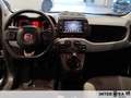Fiat New Panda 1.0 FireFly Hybrid City Life Schwarz - thumbnail 8