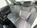 Volkswagen Polo 1.0 GOAL LED+CLIMAT+APP+SHZ+ACC+LM+PDC+DAB+ Weiß - thumbnail 14