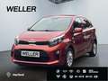 Kia Picanto 1.2 ISG Dream-Team Edition *Kamera*Navi* Orange - thumbnail 1