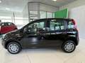 Fiat Panda Nuova Panda Hybrid 1.0 70cv Con Rottamazione Nero - thumbnail 4