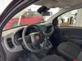 Fiat Panda Nuova Panda Hybrid 1.0 70cv Con Rottamazione Nero - thumbnail 10