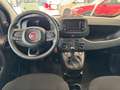 Fiat Panda Nuova Panda Hybrid 1.0 70cv Con Rottamazione Nero - thumbnail 11