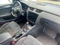 Skoda Octavia Combi RS 2.0 TDI DSG  4x4 Gris - thumbnail 9