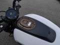 Harley-Davidson Sportster S 1250+5HD+Tempomat+Navi+sofort Blanco - thumbnail 20