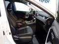 Toyota RAV 4 2,5 Hybrid AWD-i *VIP *MY21 *VOLLAUSSTATTUNG *ERS Weiß - thumbnail 10