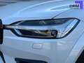 Volvo XC60 T8 AWD 318 ch + 87 ch Geartronic 8 Polestar Engine Blanc - thumbnail 17