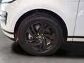 Land Rover Range Rover Evoque 2.0 D204 R-Dynamic AUTO 4WD MHEV Blanco - thumbnail 36