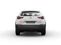 Mazda MX-30 R EV 170CV PRIME LINE Blanc - thumbnail 5