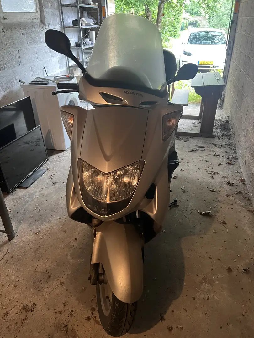 Honda FES 250 Scooter Honda Foresight FES 250 cc Grau - 2
