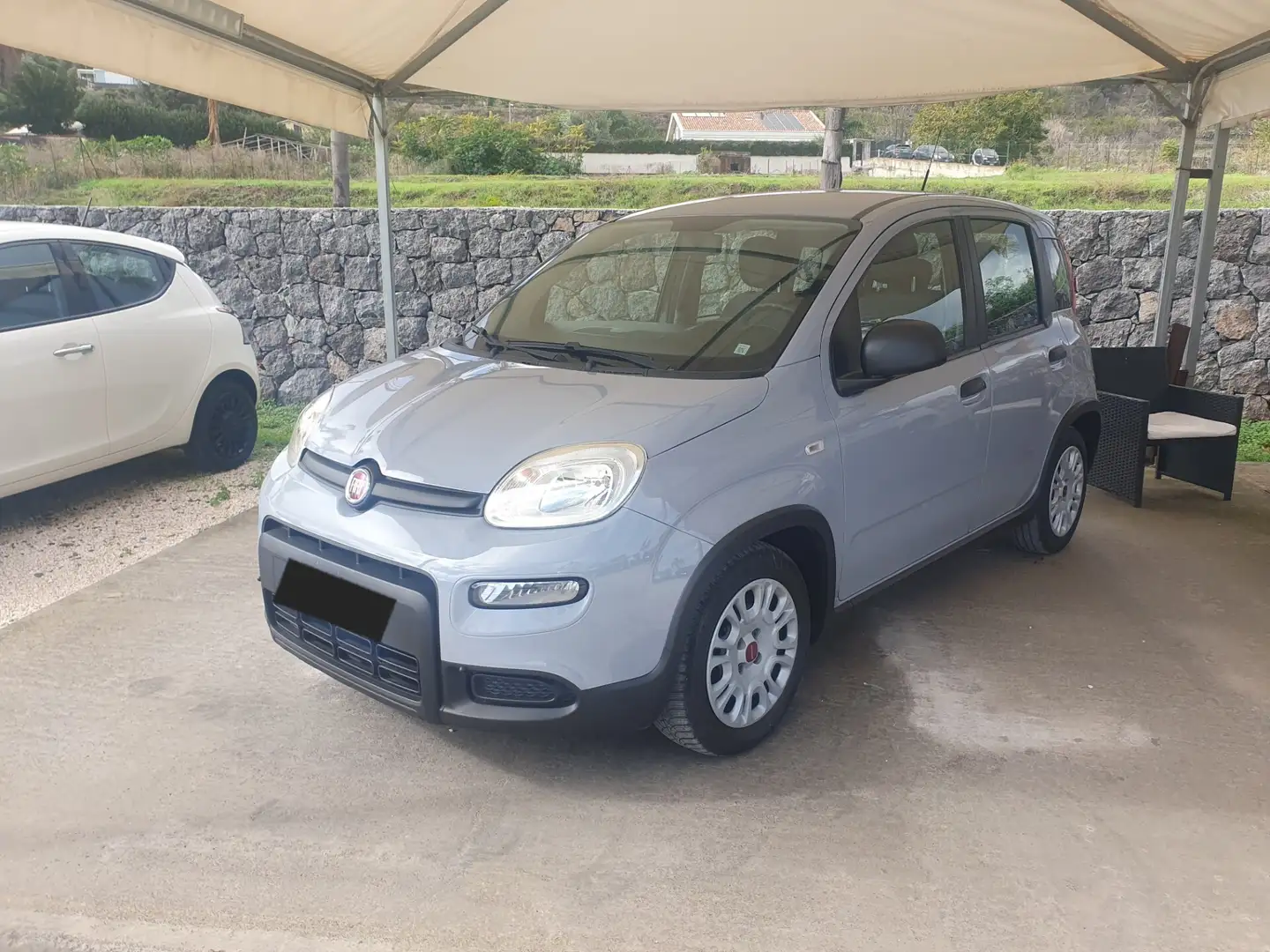 Fiat Panda Panda 1.0 FireFly S&S Hybrid Grigio - 2