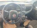 Fiat Panda Panda 1.0 FireFly S&S Hybrid Grigio - thumbnail 10