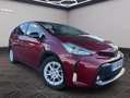 Toyota Prius+ Executive CVT Rojo - thumbnail 3