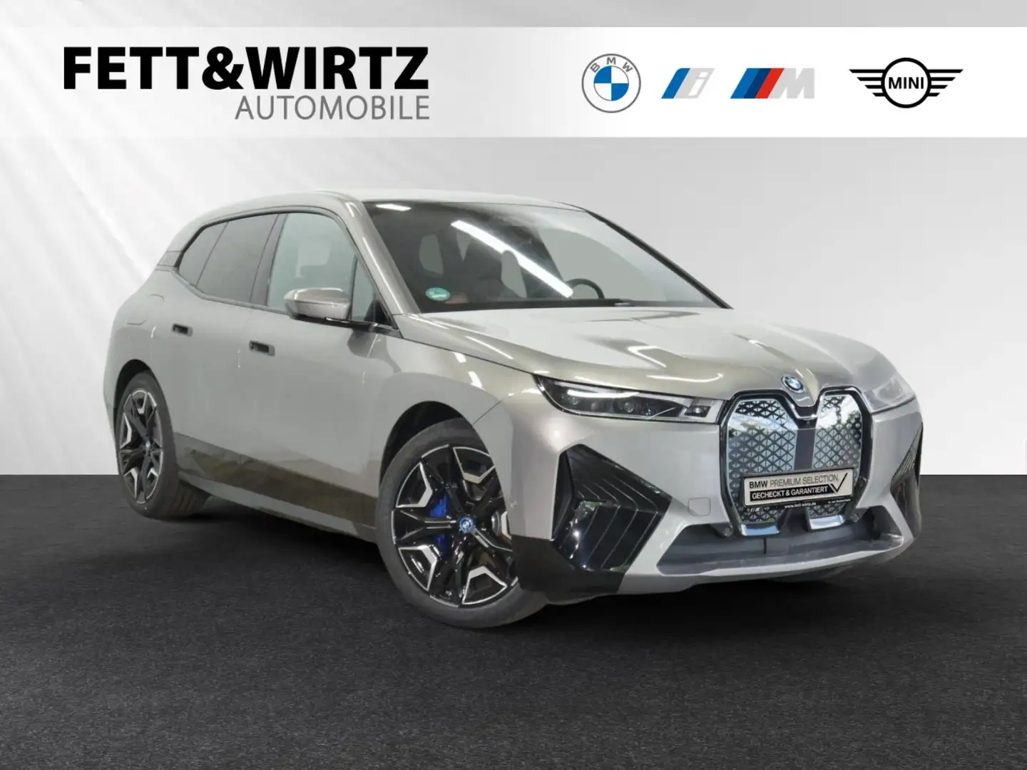 BMW iX xDrive50 SkyLounge|Autobahnass.|DAProf.|B&W Gri - 1
