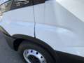 Iveco Daily 35S12 2.3 345 EURO 6 vrieswagen -40 C ijsauto Bakm Blanco - thumbnail 3