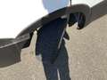 Iveco Daily 35S12 2.3 345 EURO 6 vrieswagen -40 C ijsauto Bakm Blanco - thumbnail 17