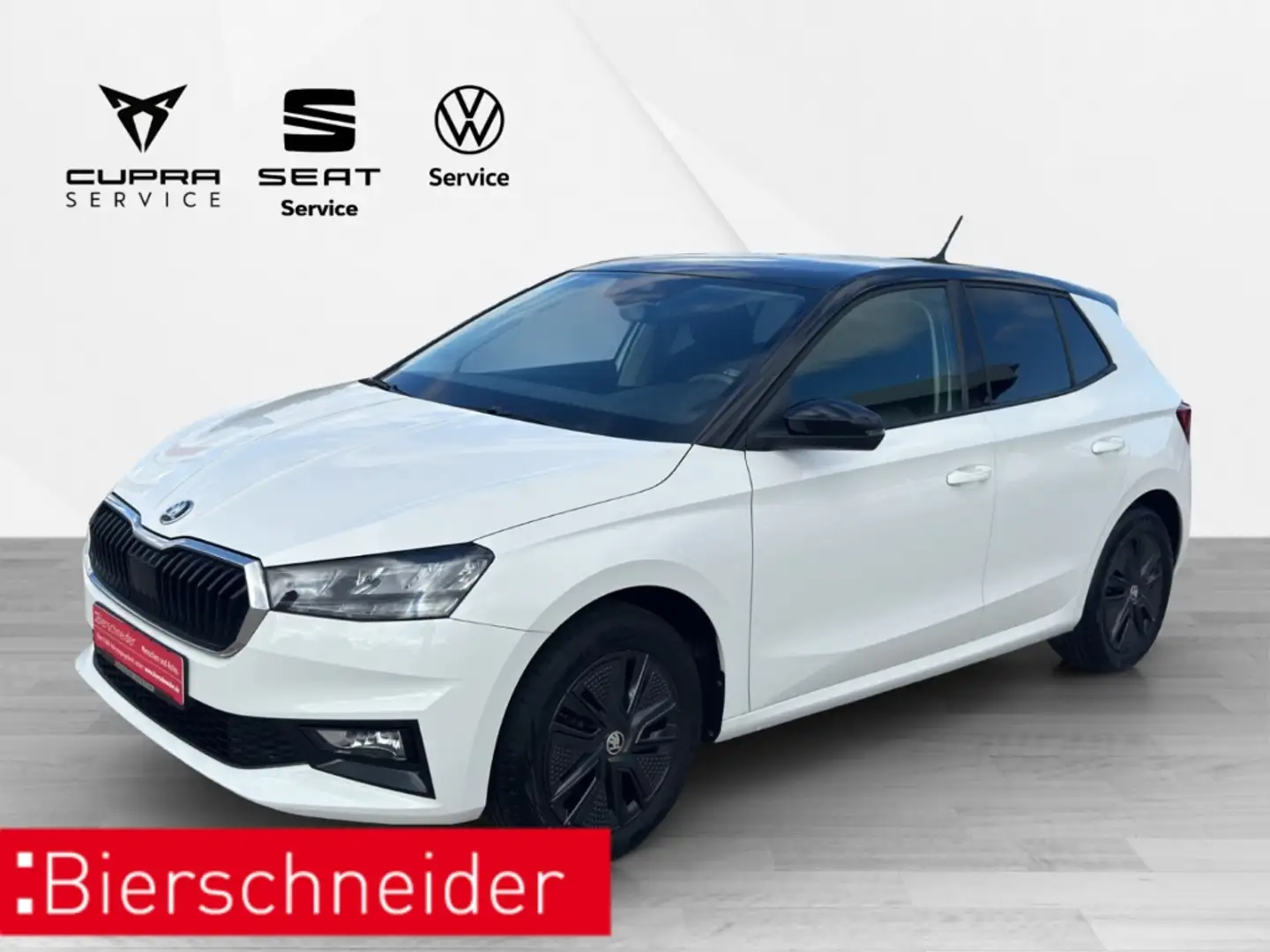 Skoda Fabia 1.0 TSI Ambition LED PDC 16 DAB Weiß - 1