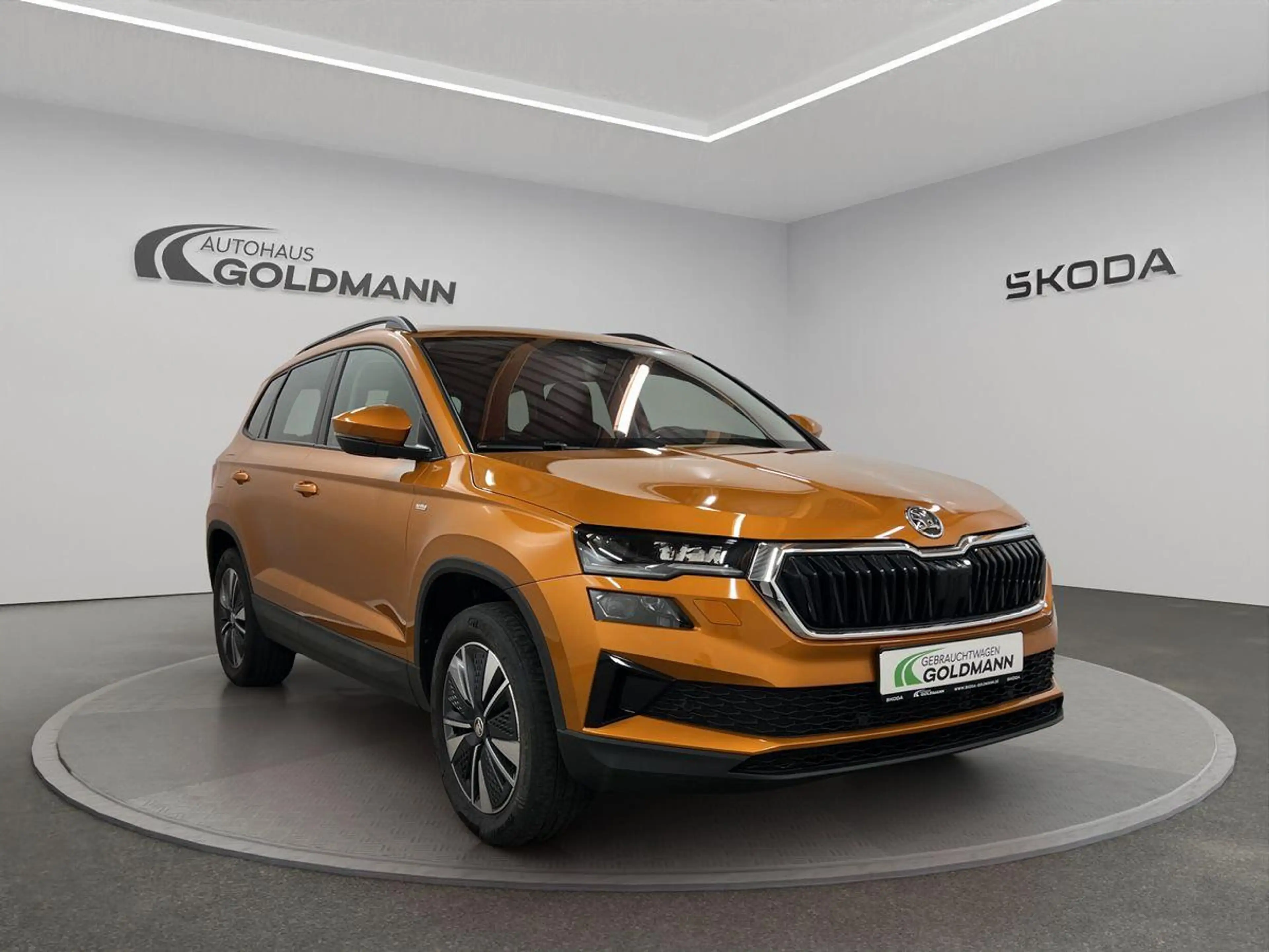 Skoda Karoq Tour 2,0 TDI 110 kW 7-Gang DSG 4x4 mit Bas — photo 6