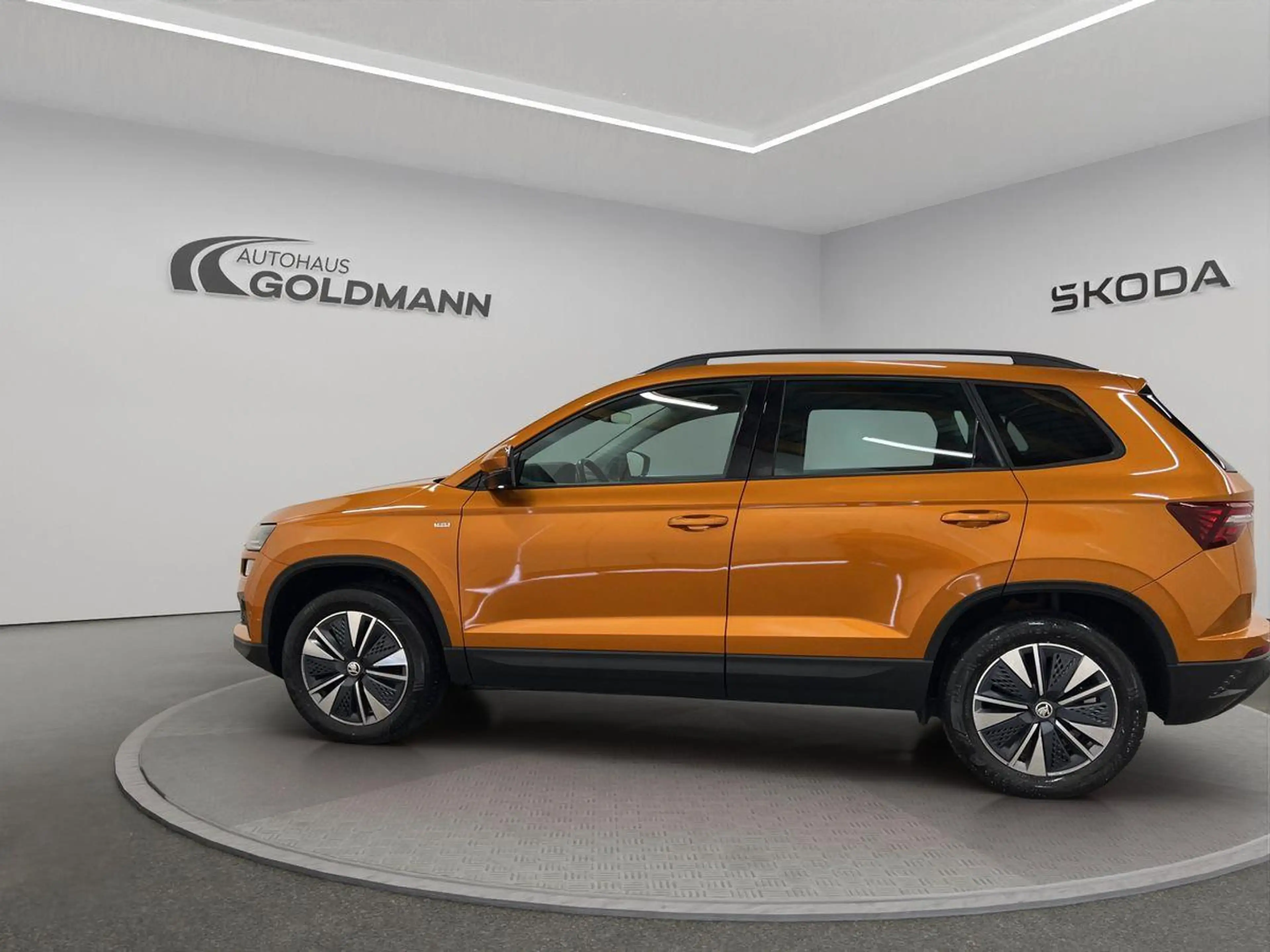Skoda Karoq Tour 2,0 TDI 110 kW 7-Gang DSG 4x4 mit Bas — photo 2