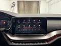 Skoda Octavia 2.0 TDI DPF RS 4x4 Grau - thumbnail 20
