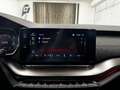 Skoda Octavia 2.0 TDI DPF RS 4x4 Grau - thumbnail 24