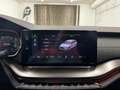 Skoda Octavia 2.0 TDI DPF RS 4x4 Grau - thumbnail 25