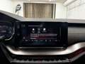 Skoda Octavia 2.0 TDI DPF RS 4x4 Grau - thumbnail 29
