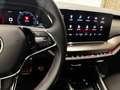 Skoda Octavia 2.0 TDI DPF RS 4x4 Grau - thumbnail 18